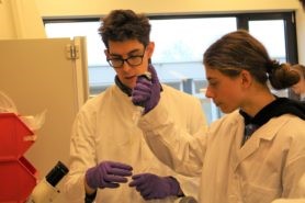 Leerling aan het woord: Growing Organs in the lab